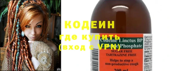 шишки Тутаев