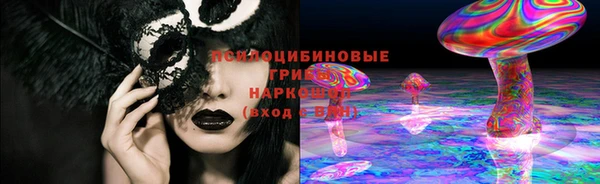 винт Тында