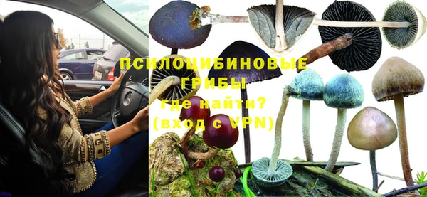 крисы Усинск