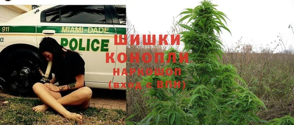 амфетамин Туринск