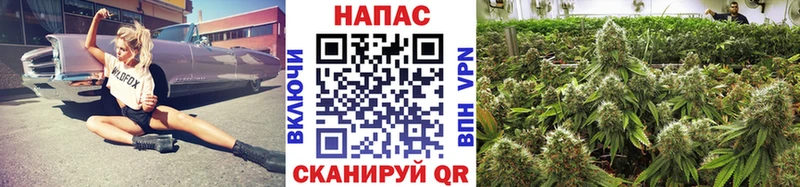 Конопля THC 21% Ильский